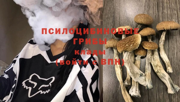 герыч Заводоуковск