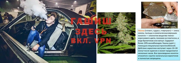 ГАЛЛЮЦИНОГЕННЫЕ ГРИБЫ Козловка