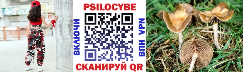 Псилоцибиновые грибы ЛСД дарнет шоп Нижнекамск